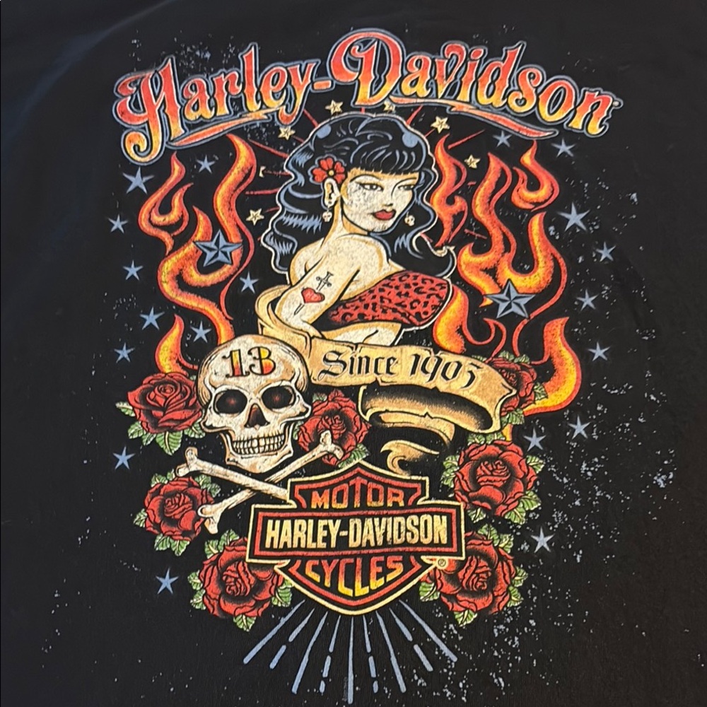 Harley-Davidson Black and Red Graphic Tee2XL